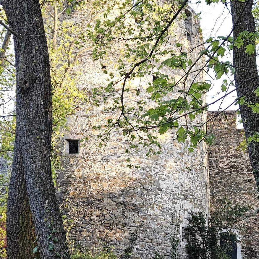 Bild enthält, Castle, Fortress, Plant, Tree, Wall