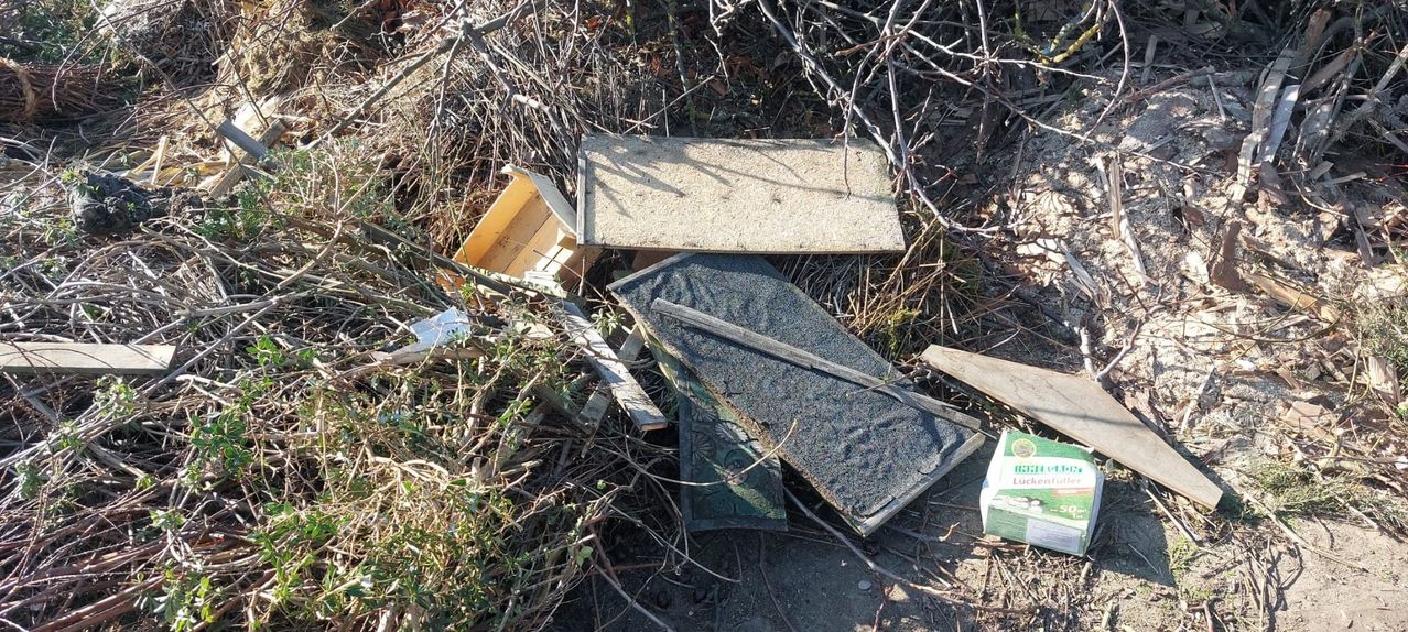 Verschiedene Baumaterialien, darunter ein Holzkasten und mehrere Betonplatten, sind auf dem Boden zwischen Ästen und kleinen Pflanzen verstreut.