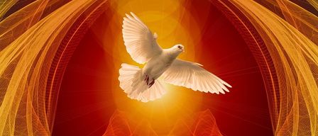 A white dove is flying through a vibrant, fiery backdrop with yellow and red hues, its wings spread wide.