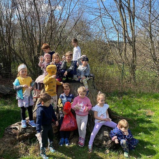 Eine Gruppe von Kindern und einigen Erwachsenen posiert für ein Foto auf einem Baumstumpf in einem Grasbereich mit Bäumen im Hintergrund.