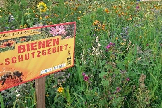 Ein Feld mit verschiedenen Wildblumen und einem Schild, das 'Bienen Schutzgebiet' anzeigt, was Bienenschutzgebiet bedeutet, mit einer Biene darauf.