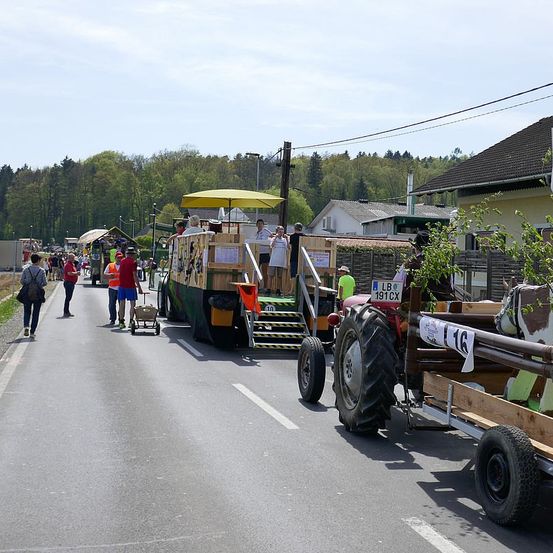 Eine Gruppe von Menschen geht auf der Straße neben einem Traktor mit einem Schwimmkörper, während andere auf dem Schwimmkörper stehen. Ein Kuhschwimmkörper ist auf der rechten Seite. Bäume und Gebäude befinden sich auf beiden Seiten der Straße.