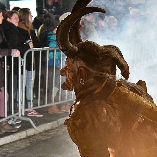 Ein Mann in einem Hörnerkostüm steht vor einer Menge von Menschen hinter einem Metallzaun. Die Menge scheint das Spektakel zu genießen.