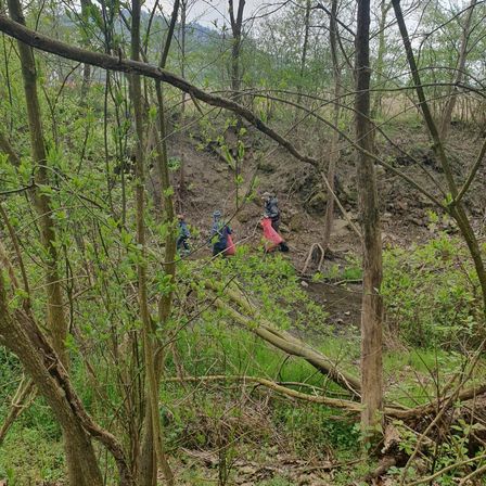 Drei Personen im Wald, eine hält eine rote Tasche, scheinen etwas zu sammeln. Der Boden ist mit Steinen und Pflanzen bedeckt.
