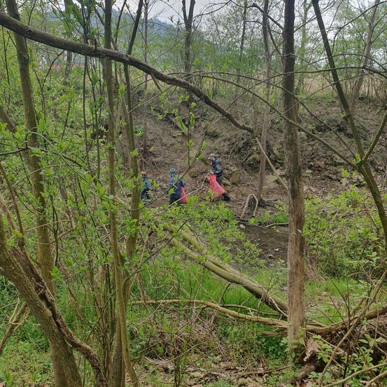 Drei Personen im Wald, eine hält eine rote Tasche, scheinen etwas zu sammeln. Der Boden ist mit Steinen und Pflanzen bedeckt.