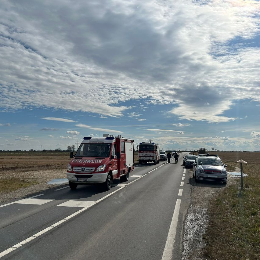 Bild enthält, Road, Car, Transportation, Vehicle, Person, Truck, Machine, Wheel