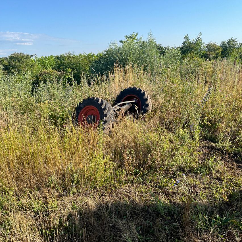 Zwei Traktorräder liegen auf dem Boden in einem Feld, umgeben von hohem Gras und kleinen Pflanzen. Der Himmel ist blau und klar.