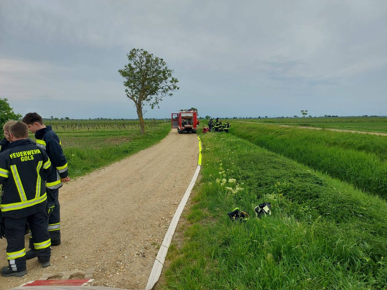 Ein Feuerwehrauto steht am Straßenrand. Ein Feuerwehrmann steht auf der Seite. Einige Feuerwehrleute stehen in der Nähe des Autos. Ein Baum steht in der Mitte der Straße.