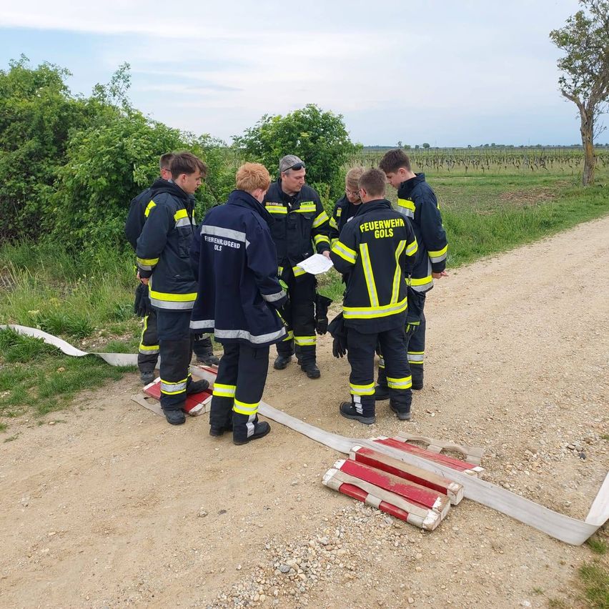 Eine Gruppe von Feuerwehrleuten steht auf einem Erdweg, einer hält ein Stück Papier und ein anderer schaut ihn an. Sie sind von einer rot-weißen Barriere umgeben.