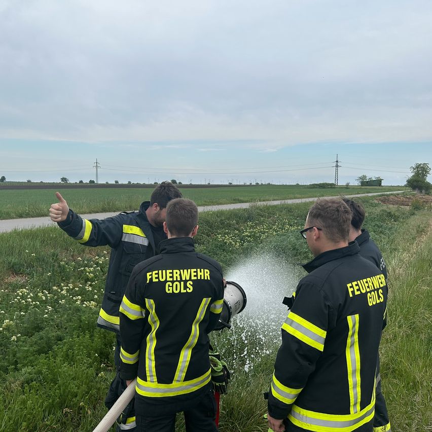 Vier Feuerwehrleute stehen in einem Feld. Einer sprüht Wasser aus einem Schlauch. Ein anderer gibt einen Daumen hoch. Der Himmel ist bewölkt.