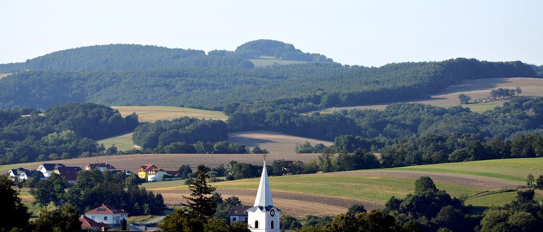 Fir, Tree, Outdoors, Nature, Countryside, Hill, Spire, Tower, Scenery, Grassland