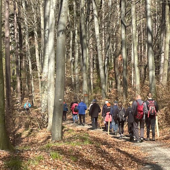 Eine Gruppe von Menschen mit Rucksäcken wandert auf einem Pfad im Wald.