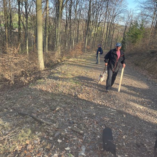 Zwei Personen laufen in einem Wald auf einem Schotterweg, eine mit einem Hund an der Leine und einem Stock, die andere in der Ferne mit einem Stock.