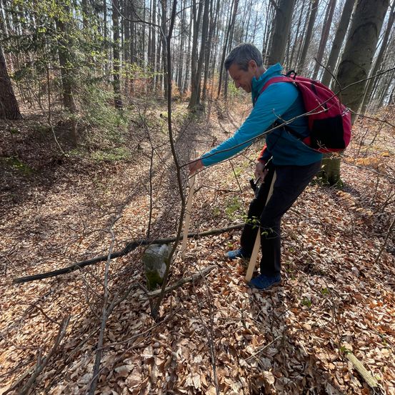 Eine Person im Wald räumt mit einem Werkzeug einen Pfad und trägt einen Rucksack.