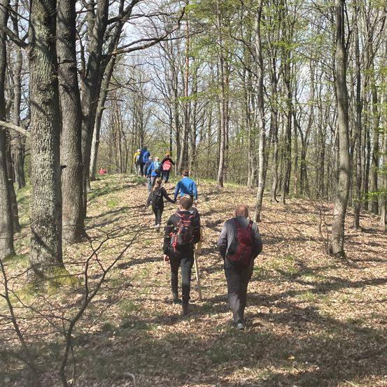 Wanderer gehen in einem Wald auf einem schlammigen Pfad, tragen Rucksäcke. Ein paar Leute gehen vor ihnen, und einige stehen auf einem Hang.