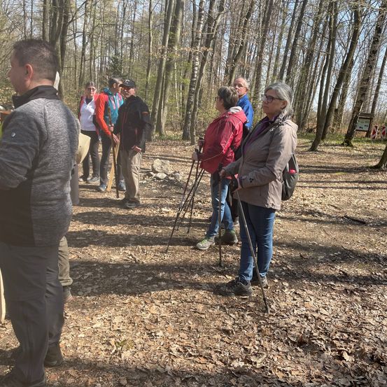 Eine Gruppe von Menschen in Jacken, Hosen und Turnschuhen steht in einem Wald. Sie halten Stöcke in der Hand und schauen auf etwas am Boden.