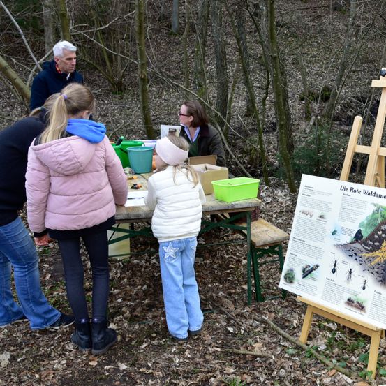 Eine Gruppe von Menschen, darunter Kinder, versammelt sich um einen Tisch im Wald. Sie sind von der Natur umgeben, mit Bäumen und trockenen Blättern auf dem Boden. Eines der Kinder hält ein Poster mit Illustrationen von Insekten und Tieren.