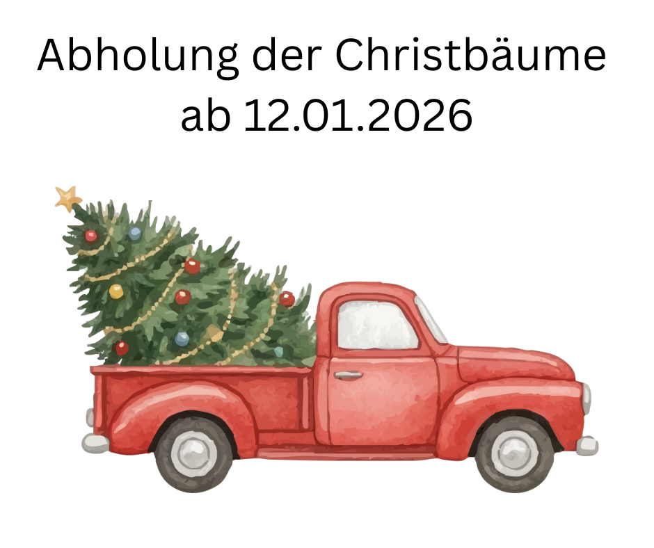 Eine Illustration eines roten Pickup-Trucks mit einem Weihnachtsbaum im Laderaum, der einen Stern auf dem Dach trägt. Der Text lautet: 'Abholung der Christbaume ab 12.01.2026'.