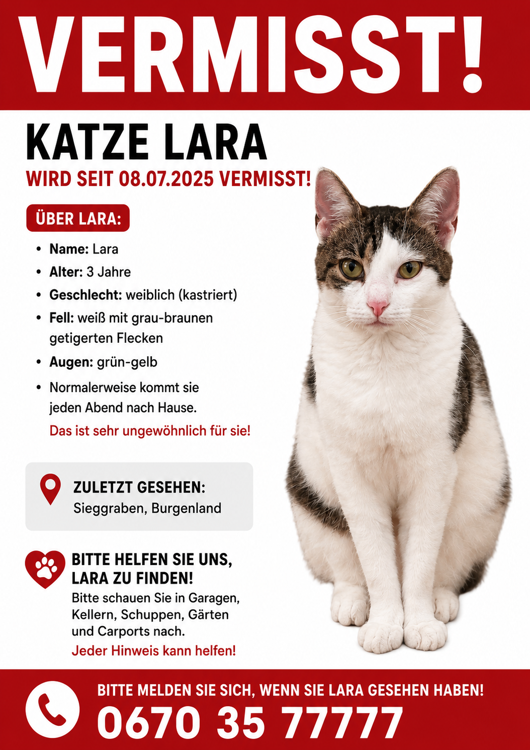 Plakat für die vermisste Katze Lara. Sie ist weiß mit braunen Flecken, weiblich, 3 Jahre alt. Zuletzt gesehen in Sieggraben, Burgenland. Hilf uns, Lara zu finden.