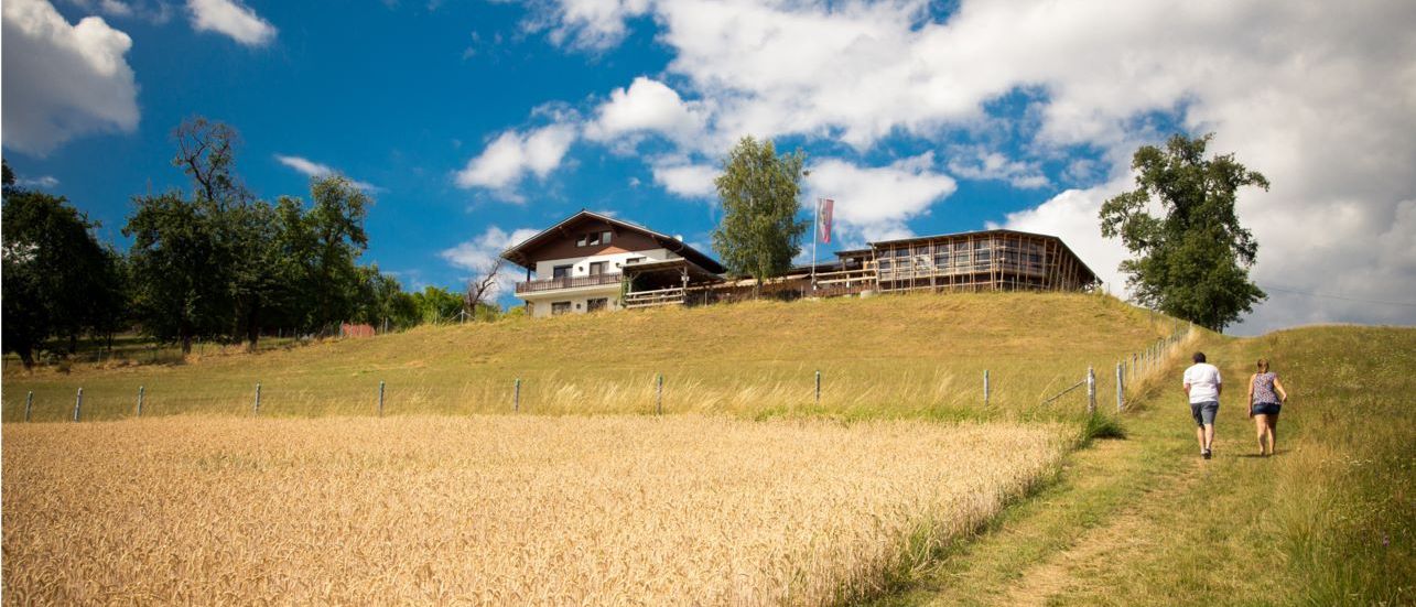 Bild enthält, Outdoors, Shelter, Field, Grassland, Nature, Sky, Grass, Scenery, Landscape, Cloud