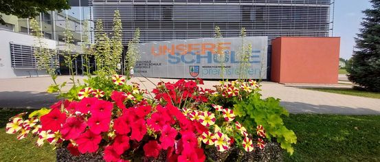 Grass, Park, Potted Plant, Advertisement, Vegetation, Building, Office Building, Flower