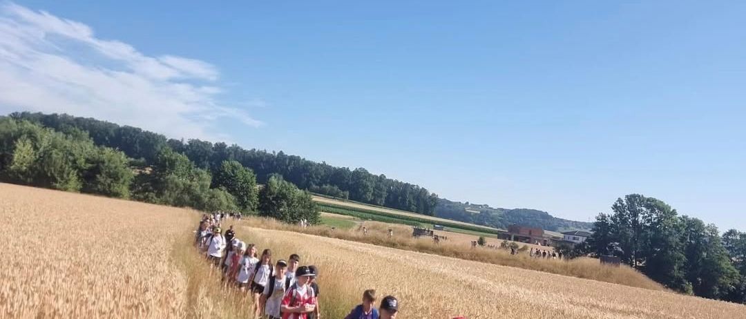 Eine Gruppe von Schülern geht an einem sonnigen Tag durch ein Weizenfeld, einige tragen Hüte und haben Rucksäcke.