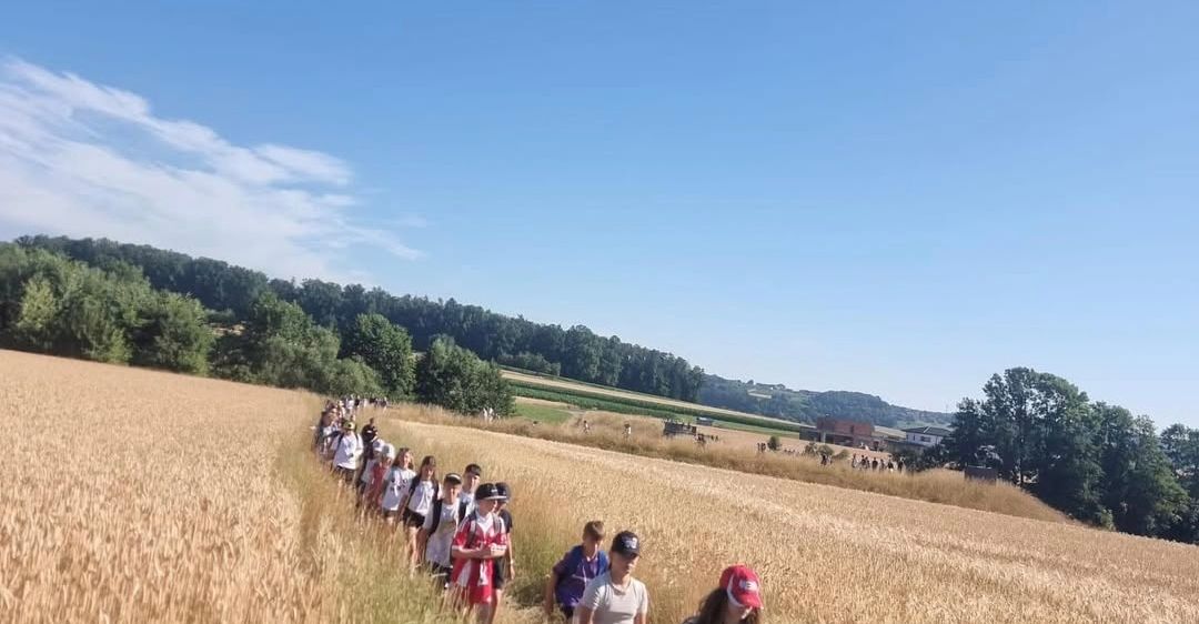 Eine Gruppe von Schülern geht an einem sonnigen Tag durch ein Weizenfeld, einige tragen Hüte und haben Rucksäcke.