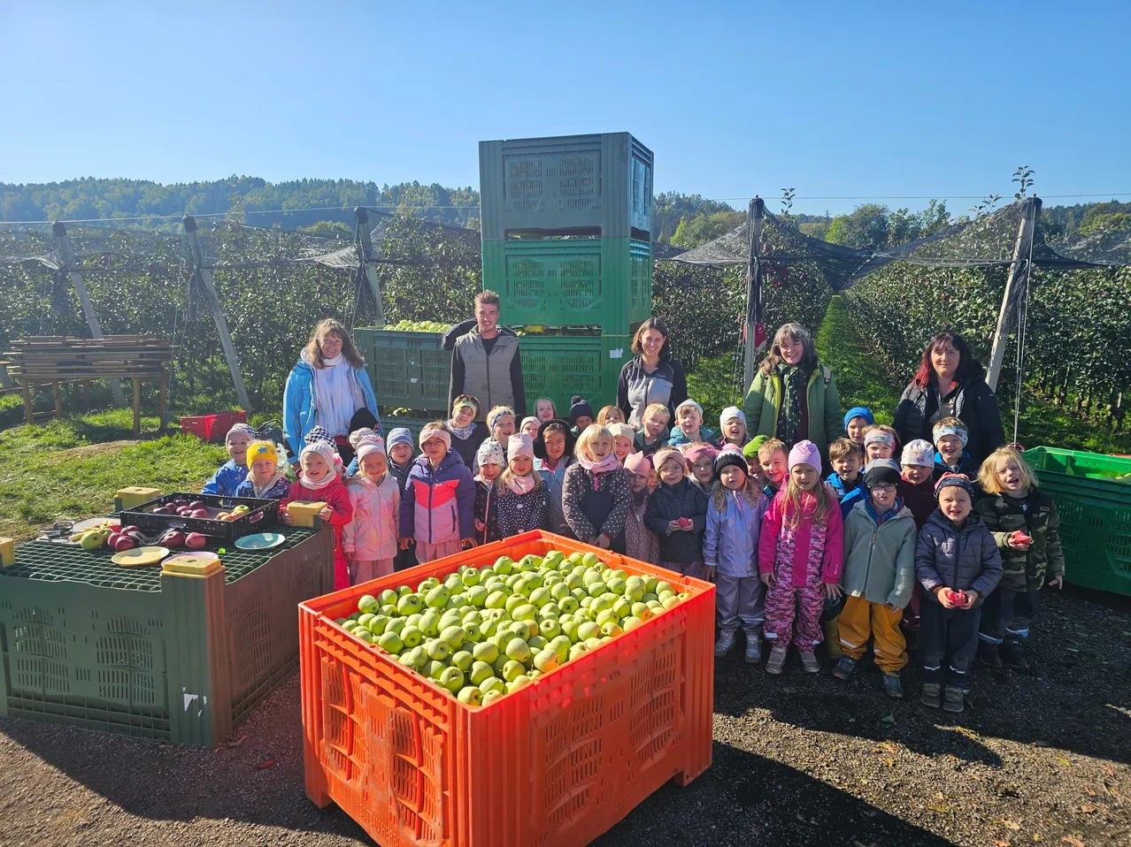 Eine Gruppe von Kindern und Erwachsenen versammelt sich um Kisten mit grünen Äpfeln in einem Obstgarten. Grüne Kisten und Bäume im Hintergrund.