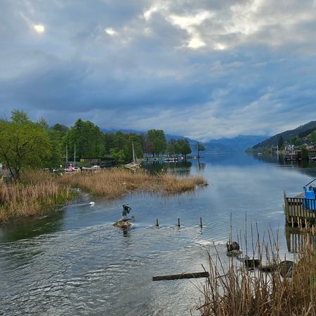 Ein Fluss mit einer kleinen Insel in der Mitte, einer Statue einer Meerjungfrau und einer kleinen Brücke auf der rechten Seite.