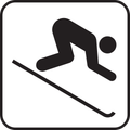 Ein Symbol eines Skifahrers, der mit einem Stock in der Hand den Hang hinuntergleitet.