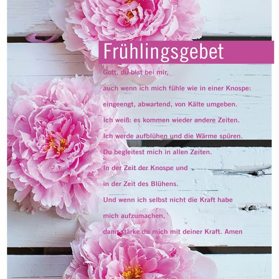 Bild enthält, Advertisement, Poster, Flower, Plant, Peony, Dahlia, Business Card