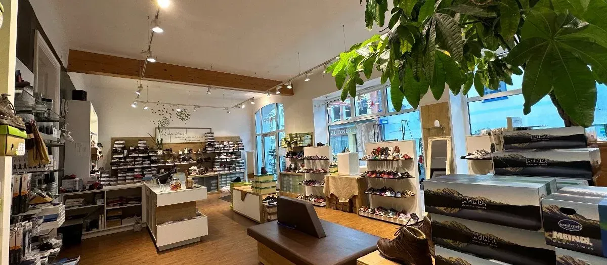 Ein Schuhgeschäftsinnenraum mit Holzböden, weißen Regalen und Deckenleuchten. Schuhe sind auf Regalen und einem Tisch ausgestellt. Ein Topf mit einer Pflanze steht auf einem Tresen.