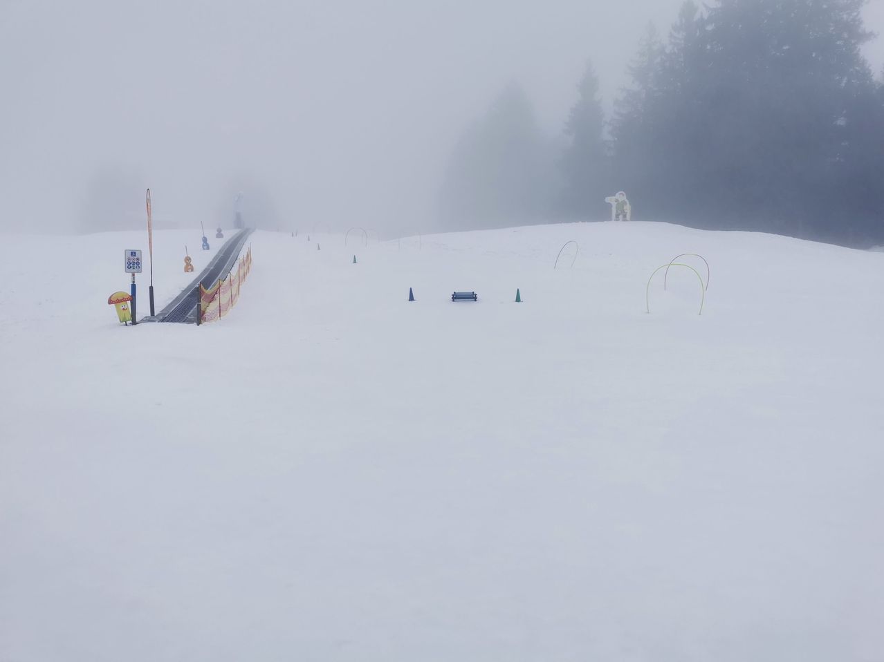 Eine neblige Winterlandschaft mit einer Skipiste, Stangen und Hindernissen auf einem Hügel. Bäume sind im Hintergrund.