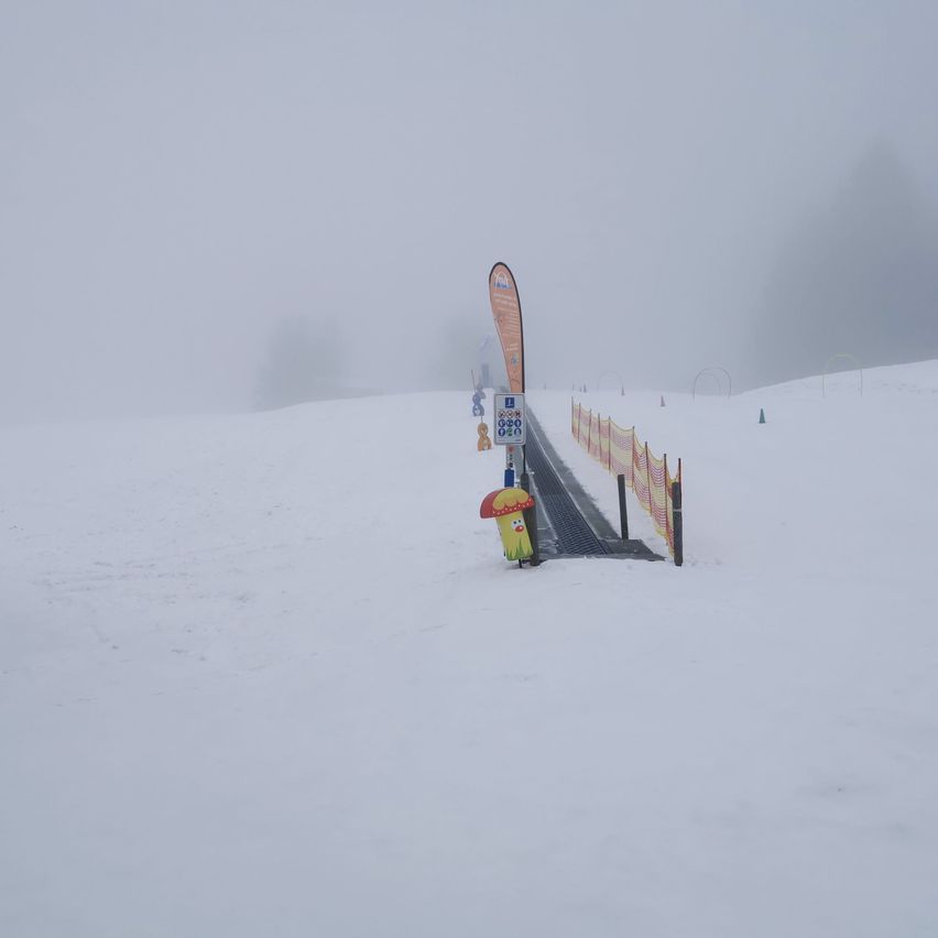 Eine verschneite, neblige Landschaft mit einem Weg und bunten Pfosten. Ein pilzförmiges Objekt ist auf dem Weg platziert.