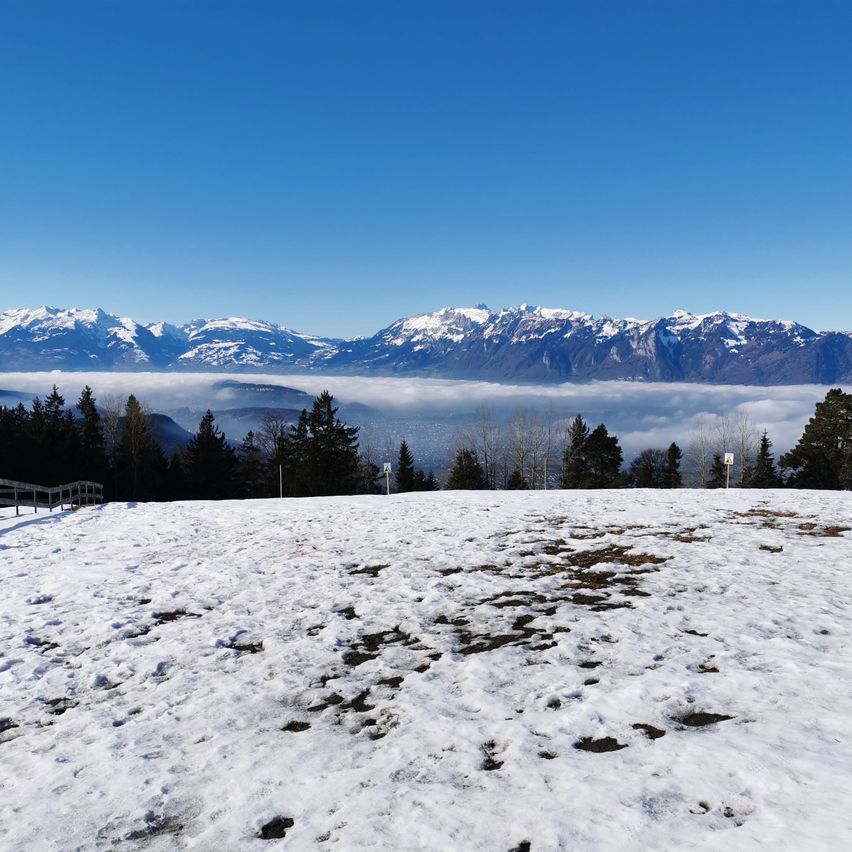 A snowy landscape with mountains in the background, covered in fog. The foreground shows a flat snowy field with sparse trees.