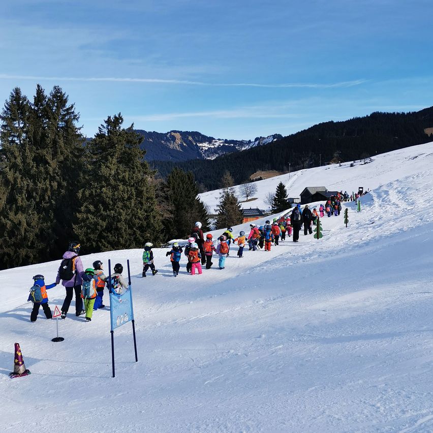 A group of children are skiing down a snowy slope with pine trees and mountains in the background.