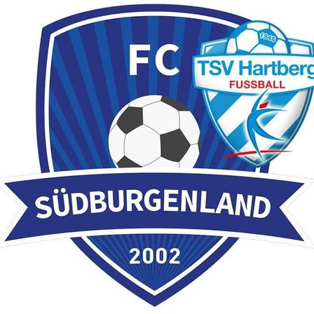 Bild enthält, Ball, Football, Soccer, Soccer Ball, Sport, Logo, Badge, Symbol