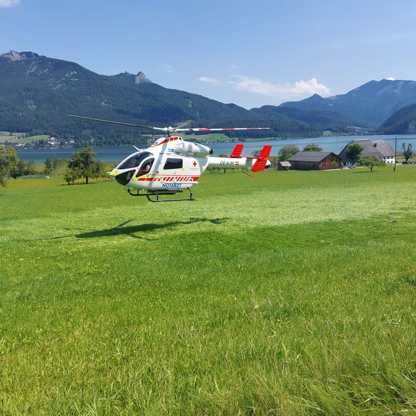 Ein weißer Hubschrauber mit roten Akzenten schwebt über einem grünen Feld, mit einem See und Bergen im Hintergrund.
