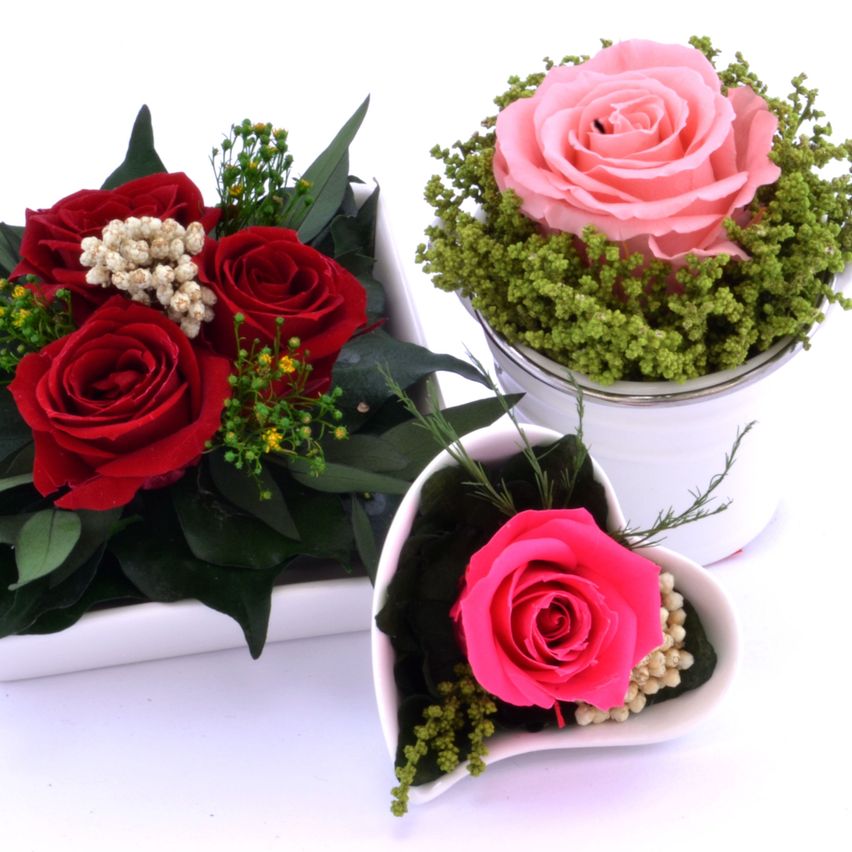 Bild enthält, Flower, Plant, Rose, Flower Arrangement, Flower Bouquet, Art, Floral Design, Graphics, Pattern