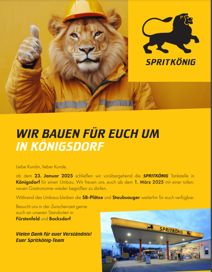 Bild enthält, Advertisement, Poster, Person, Lion, Mammal, Wildlife, Dog, Pet, Hardhat, Helmet