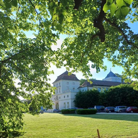 Ein großes weißes Gebäude mit vielen Fenstern steht in einem großen grünen Park, umgeben von Bäumen und Büschen. Mehrere Autos sind vor dem Gebäude unter einem klaren Himmel geparkt.