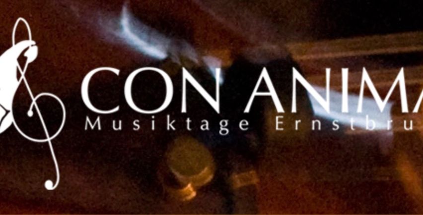 Das unscharfe Bild zeigt ein Logo mit dem Wort 'ANIMA' in großen Buchstaben und 'Ernstbrunn' darunter. Der Hintergrund ist dunkel und undeutlich.