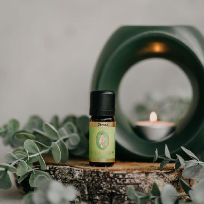 Bild enthält, Plant, Potted Plant, Candle, Bottle