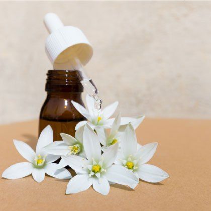 Bild enthält, Flower, Plant, Petal, Anther, Herbal, Herbs, Bottle