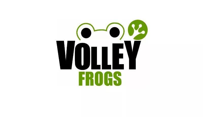 Das Logo zeigt ein Frosch-Symbol über dem Wort 'VOLLEY', mit einem grünen Blatt-Symbol daneben und dem Wort 'FROGS' darunter, alles in Schwarz.