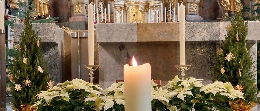 Ein Kirchenaltar mit Kerzen geschmückt, dekoriert mit weißen Weihnachtssternen und einem kleinen immergrünen Baum, mit einem Marmorhintergrund und goldenen Akzenten.