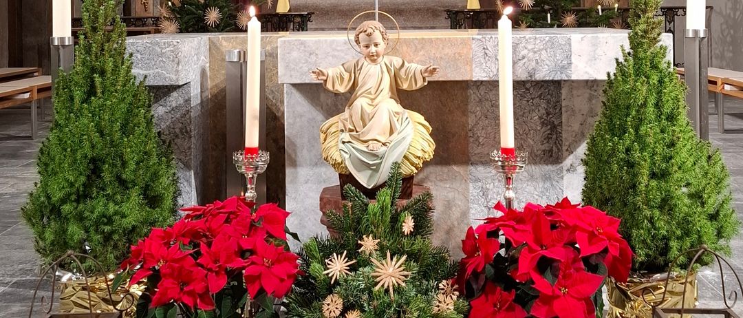 Ein weihnachtlich geschmückter Altar in einer Kirche mit einer sitzenden Engelsstatue, roten Christsternen und zwei brennenden Kerzen. Der Altar ist mit goldenen Ornamenten geschmückt und von zwei kleinen immergrünen Bäumen umgeben.