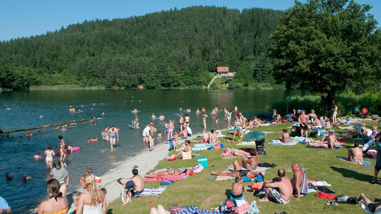 Bild enthält, Nature, Outdoors, Scenery, Summer, Grass, Tree, Person, Vegetation, Park, Water