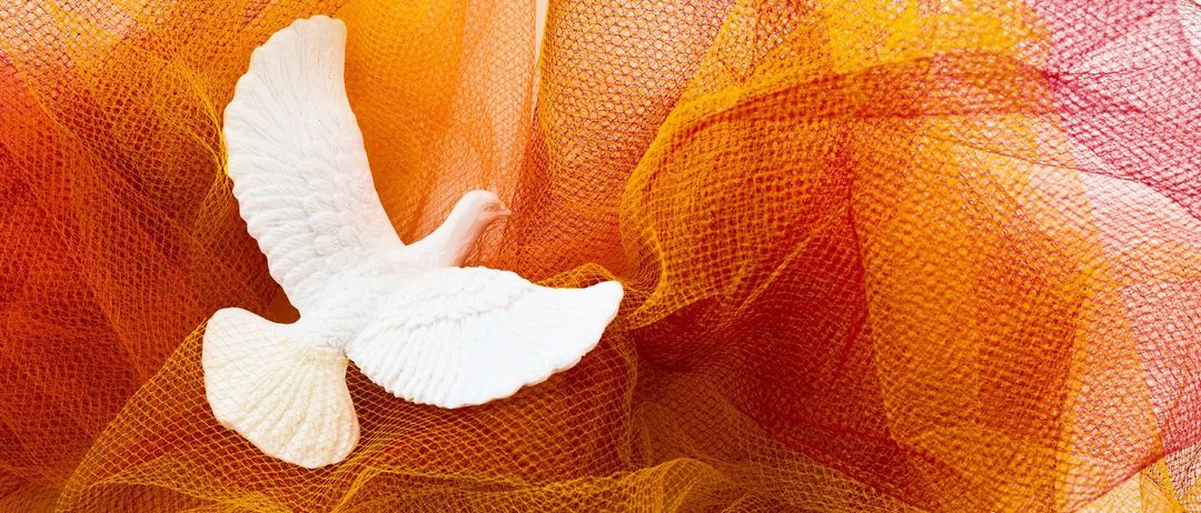 Eine weiße Taubenskulptur ruht auf einem orangefarbenen, strukturierten Netzstoff, der einen lebhaften und komplexen Hintergrund bildet.