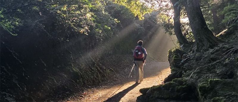 Ein Mann geht auf einem Waldweg mit einem roten Rucksack, der von Sonnenlicht beleuchtet wird. Der Weg ist von Bäumen umgeben und ein Schild steht für 'Katholisches Bildungswerk'.